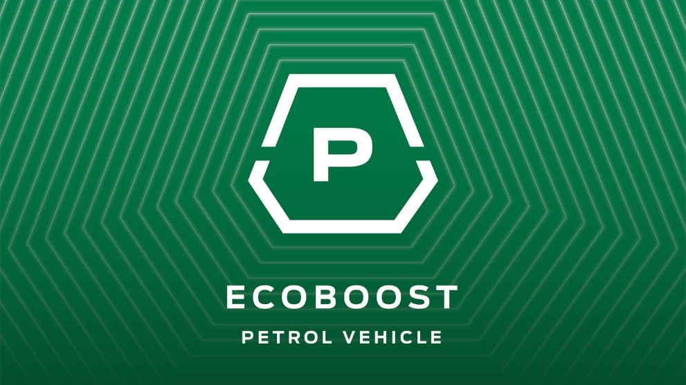 Ford ecoboost petrol vehicle